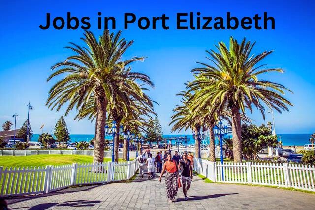 Jobs in Port Elizabeth